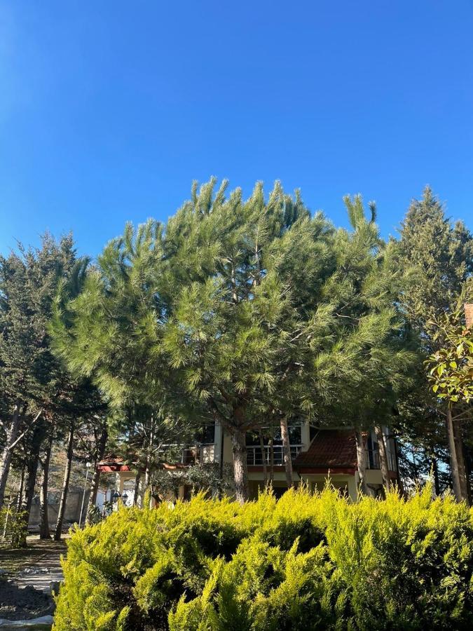 Hotel Garden Villa Ardo Golem  Luaran gambar