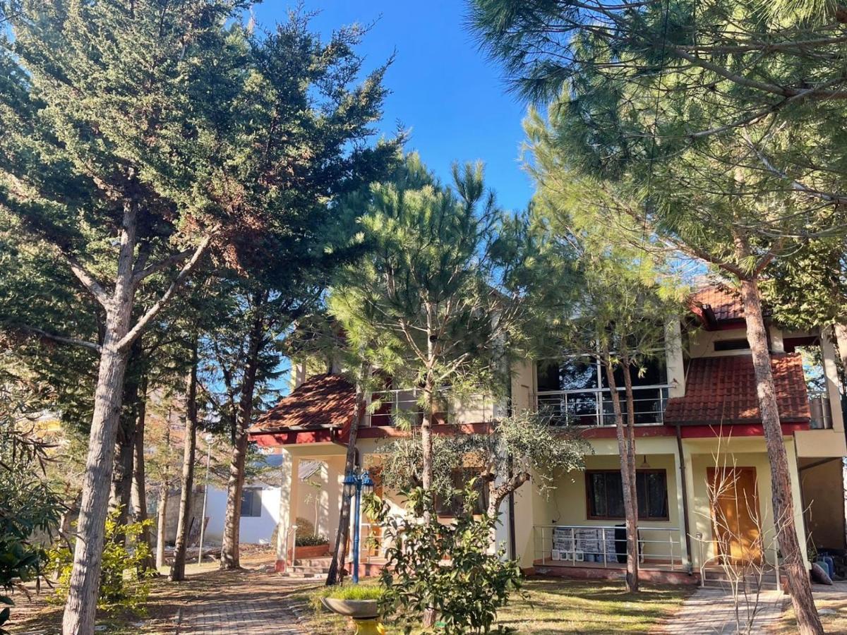 Hotel Garden Villa Ardo Golem  Luaran gambar